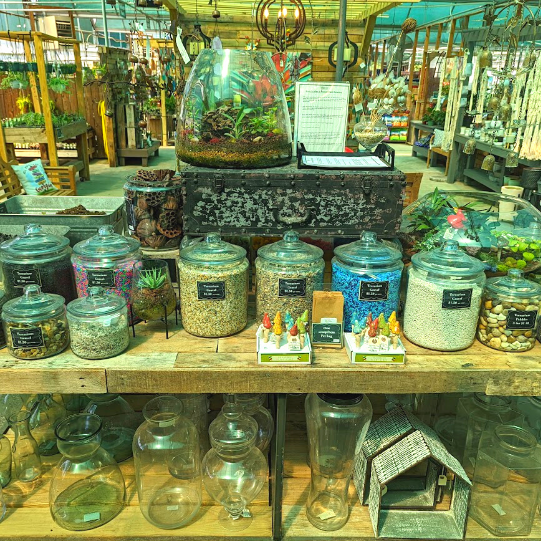 Newsletter Plant Square.png