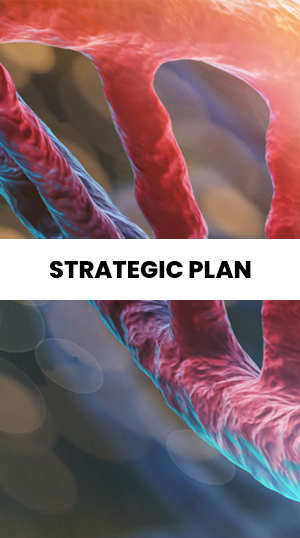 InGeNA strategic plan