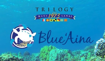 Blue Aina Logo