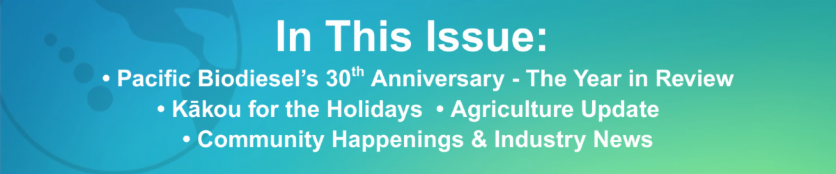 In this Issue 12-2025