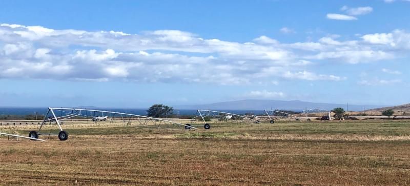 Maui Wide Shot