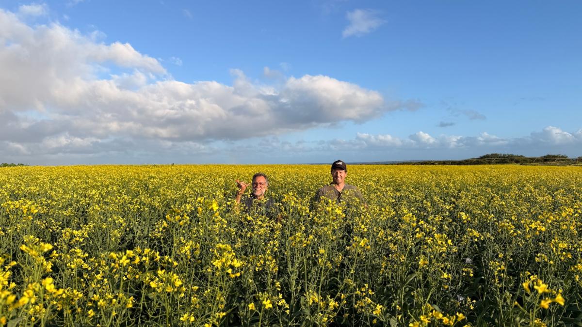 Canola Field with Bob King and Jamie Twigg-Smith