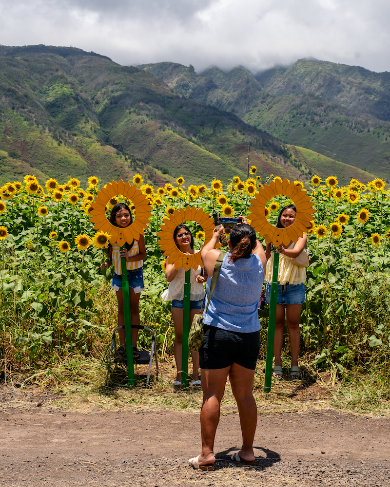Maui Farm Stand 2026