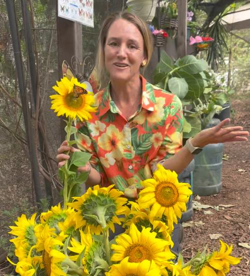 Siobhan Wilson Maui Butterfly Farm