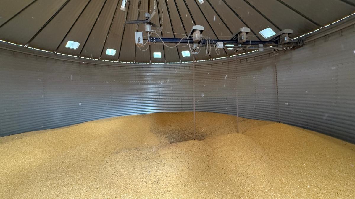 Grain in Silo