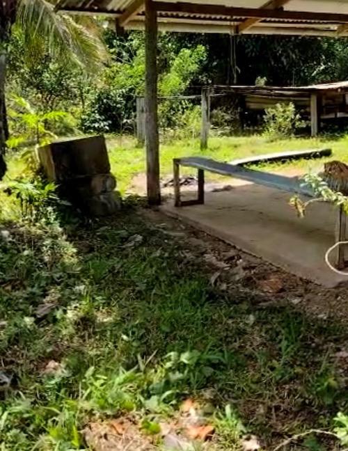 Cocoa Estate in Talparo for Sale