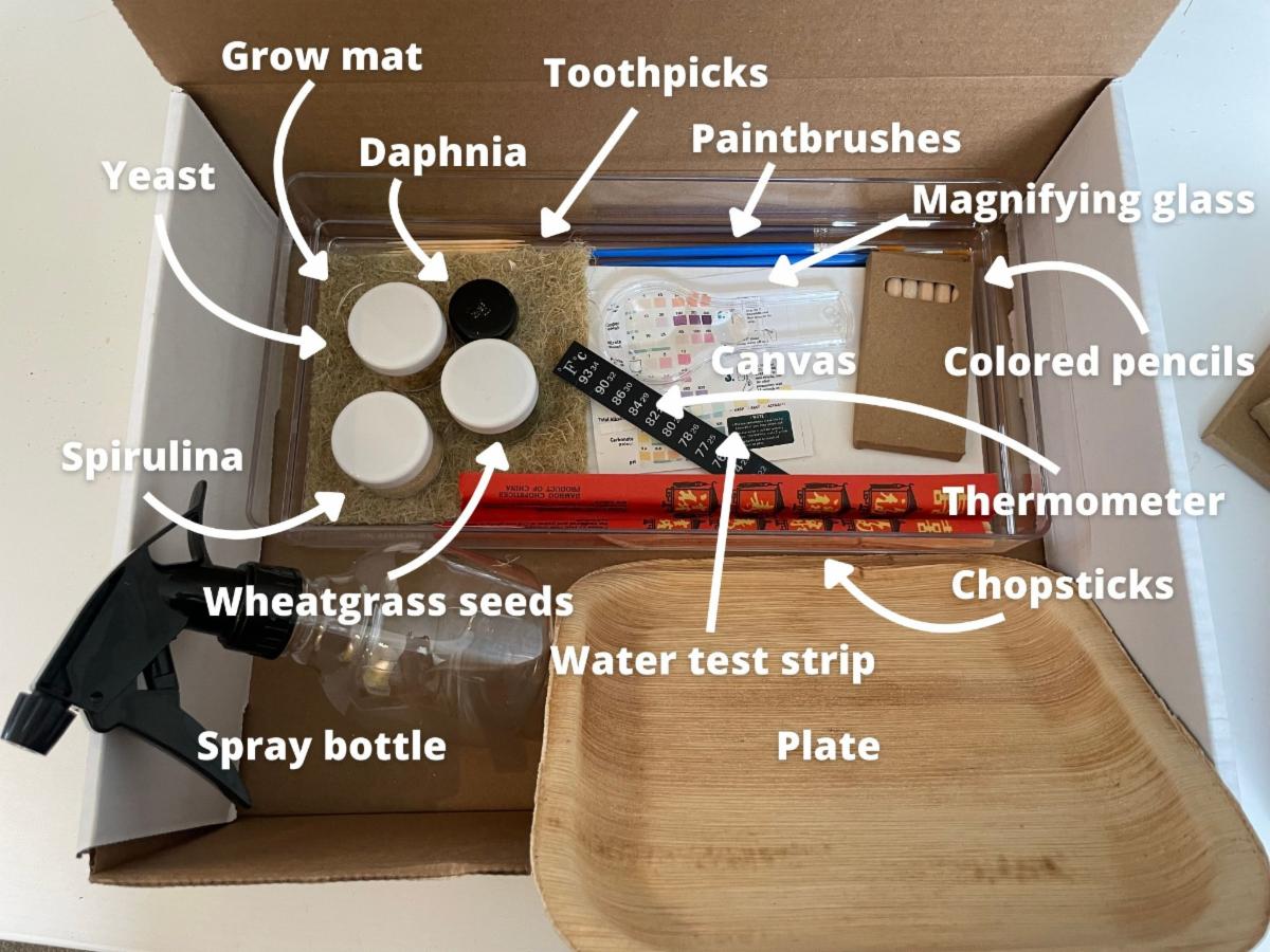 Floating Wetland activity kit