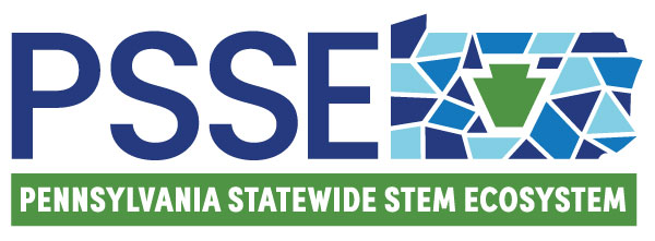 PSSE RGB Logo Horiz w name