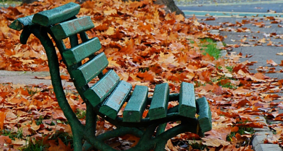 A photo of an empty park bench