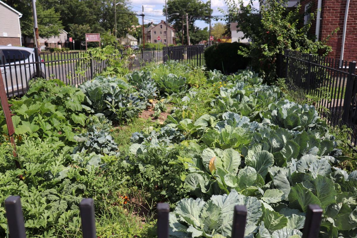 JHG award-winning garden