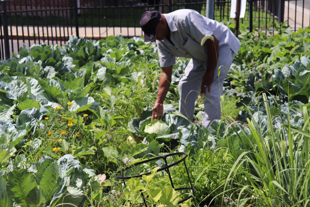 JHG award-winning garden