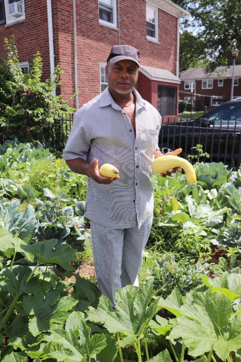 JHG award-winning garden