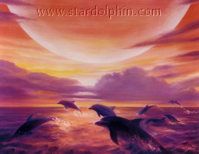 DolphinSunset