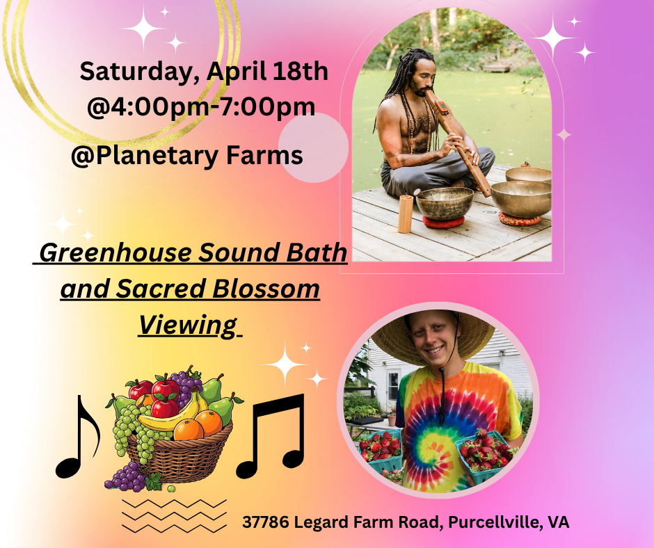April18DanteGreenhouseSoundBath