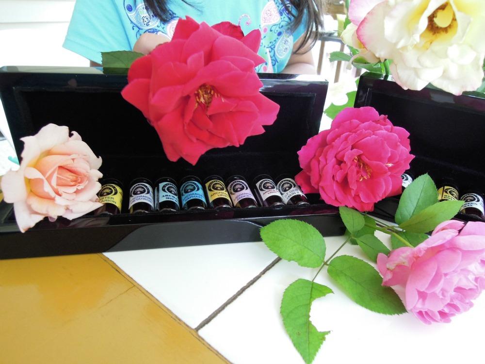 Alchemist10MostPopular