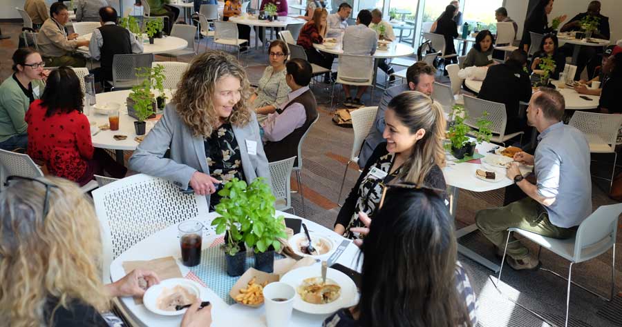 Faculty and staff engaging in conversation