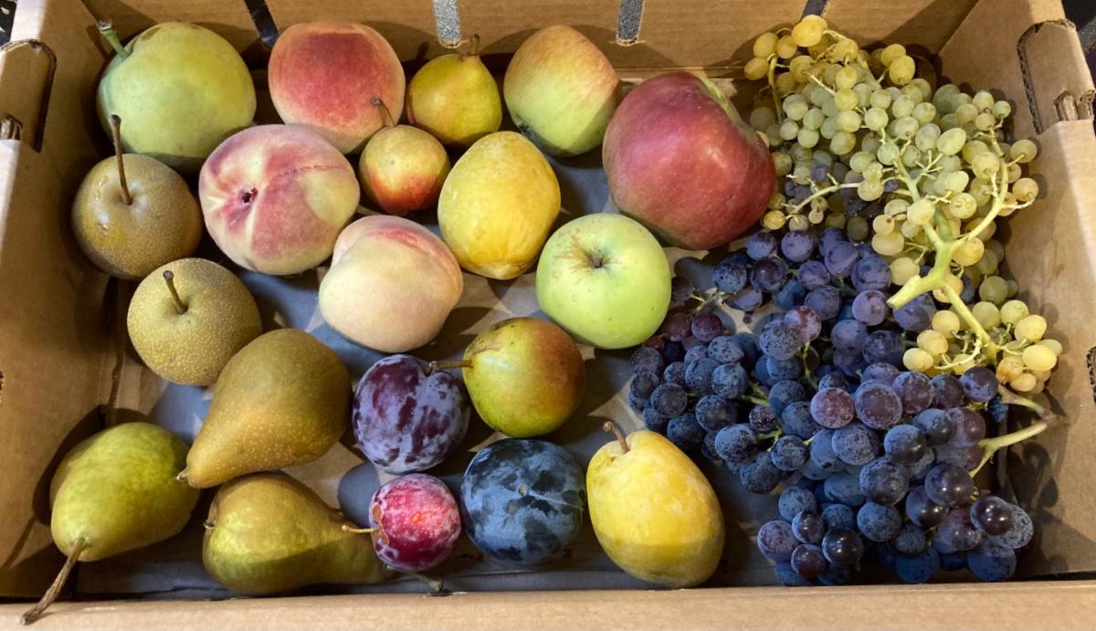 a box of mixed fruit