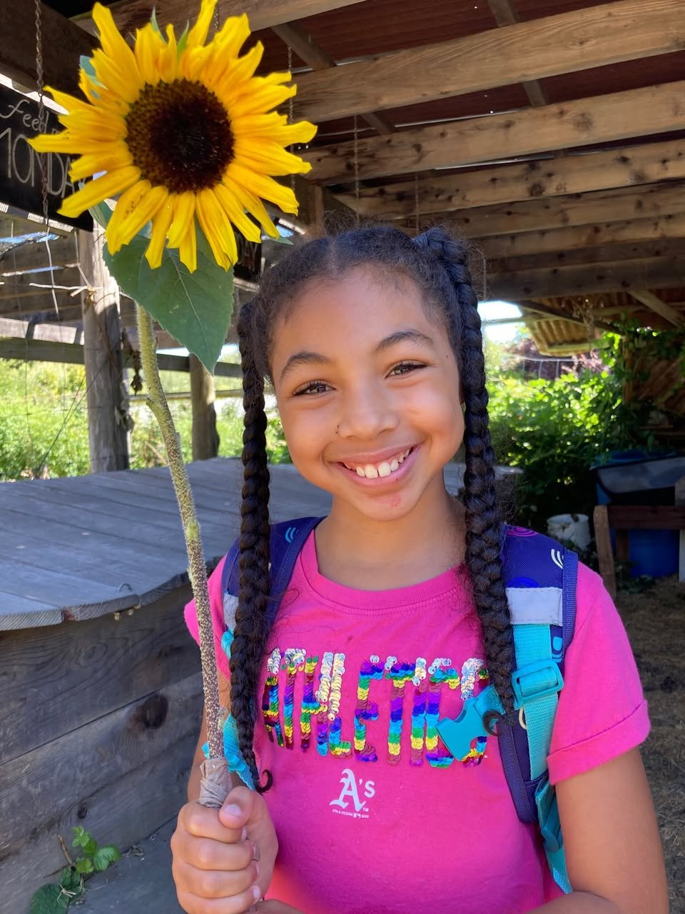 girl holding sunflower
