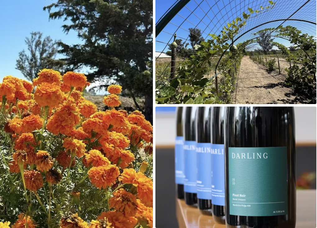 photo collage of marigold, hoop house with vine, and wine bottles