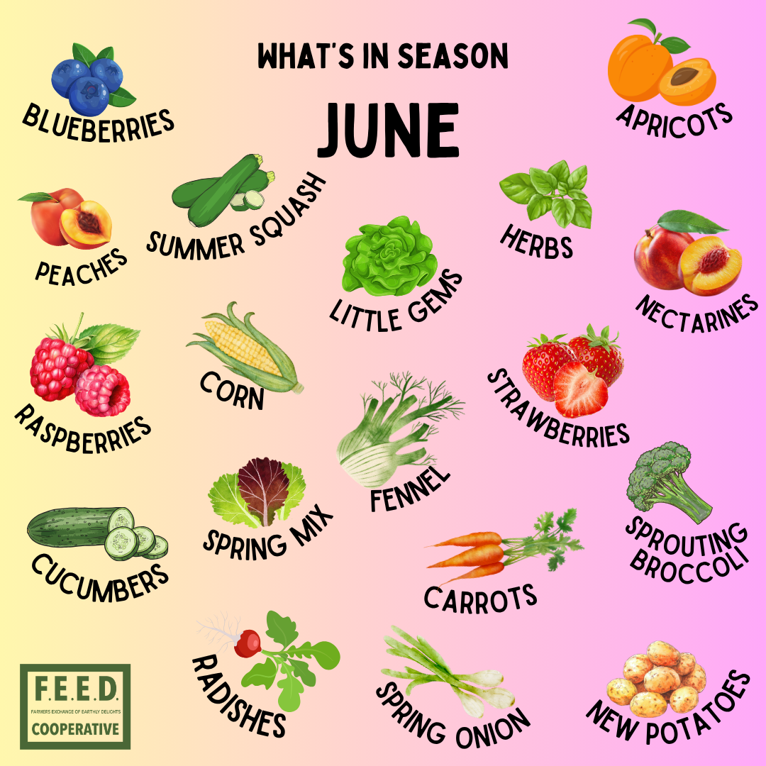 graphic about what's in season in june