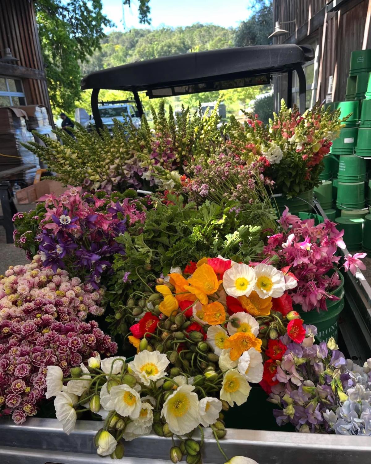 truckload of flowers from front porch farm