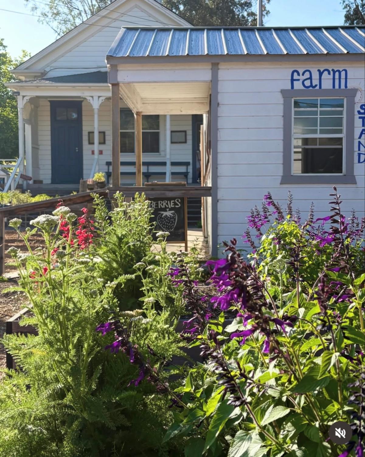 tenfold farmstand garden