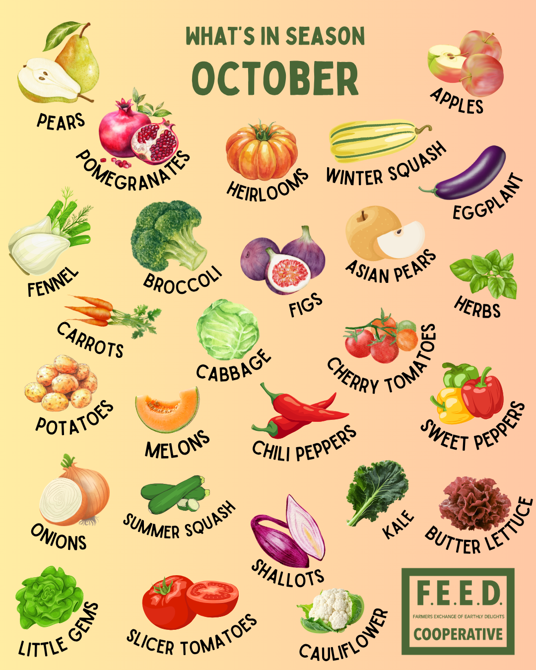 whats in season october graphic