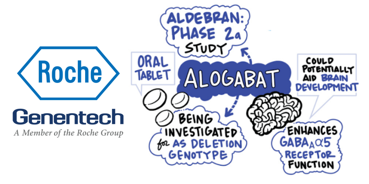 Roche Genentech Alogabat Study