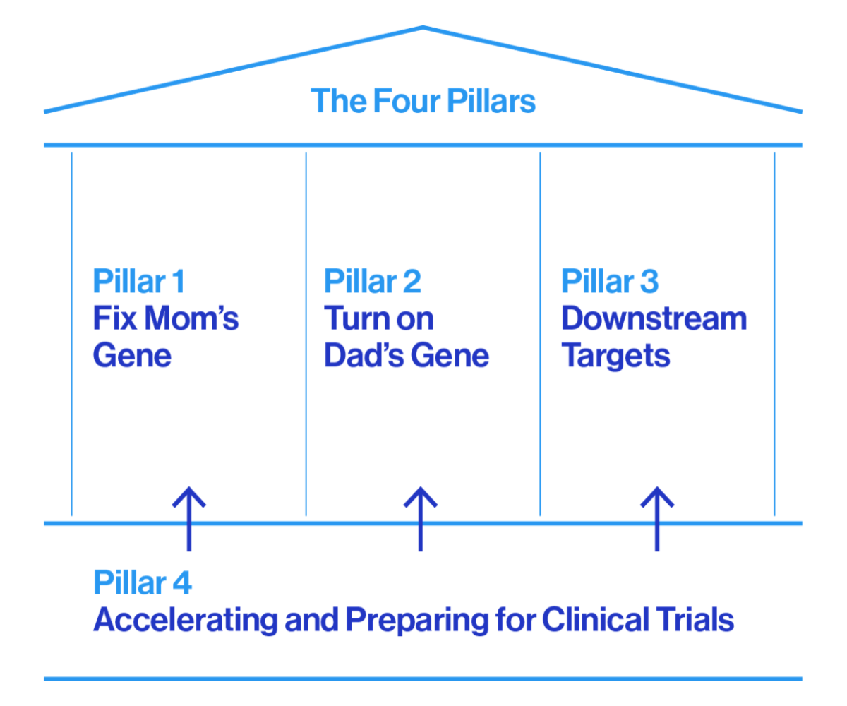 The Four Pillars - Pillar 1 Fix Mom's Gene, Pillar 2 Turn on Dad's Gene, Pillar 3 Downstream Targets, Pillar 4 Accelerating and Preparing for Clinical Trials