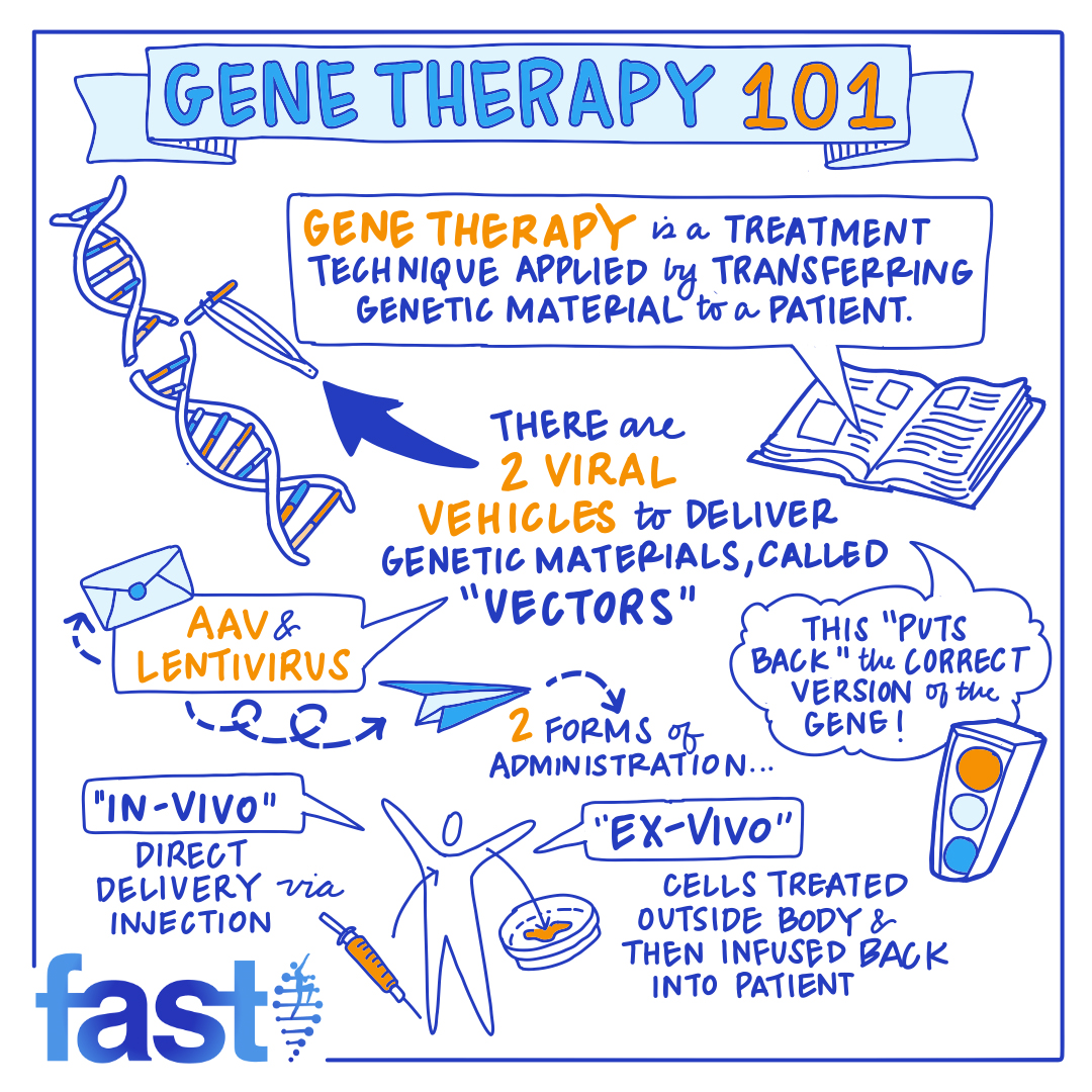 Gene therapy is a treatment technique applied by transferring genetic material to a patient