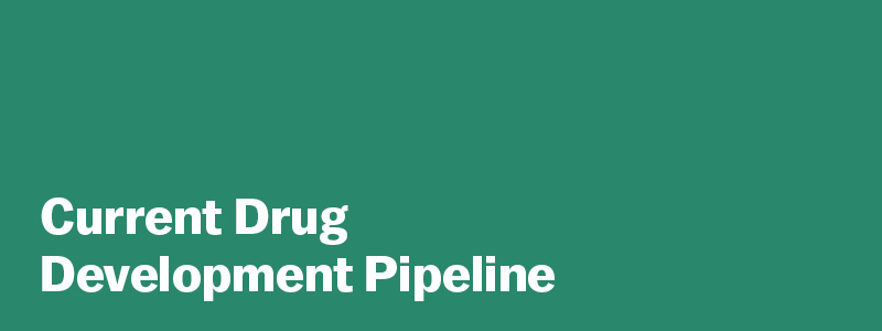 Current Drug Development Pipeline