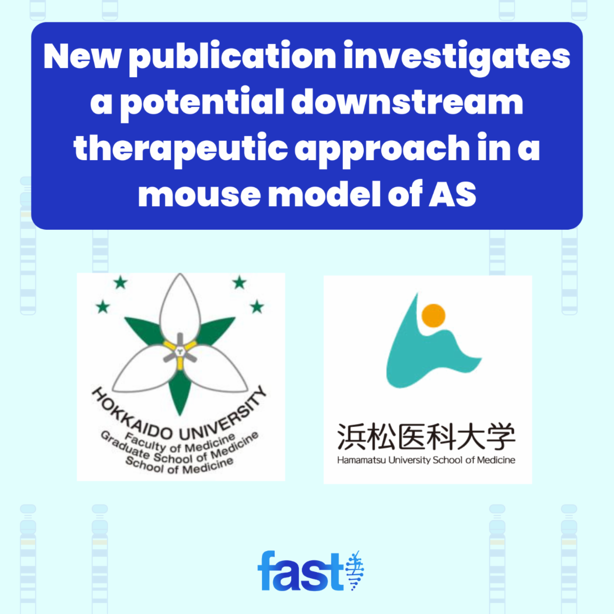 New publication investigates a potential downstream therapeutic approach in a mouse model of AS, with the logos of Hokkaido University School of Medicine and Hamamatsu University School of Medicine