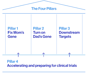 An outline of a building showing the four pilars - Pillar 1: Fix Mom's Gene, Pillar 2: Turn on Dad's Gene, Pillar 3: Downstream Targets, Pillar 4: Accelerating and preparing for clinical trials