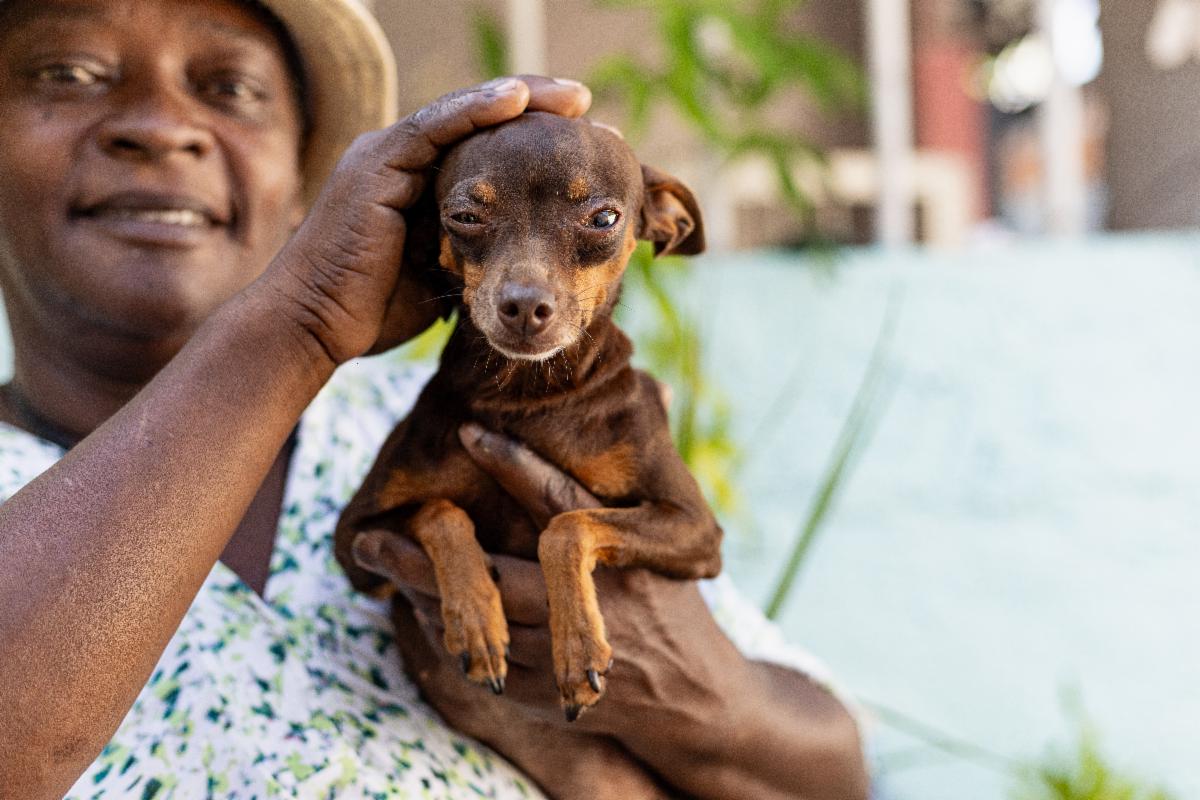 Woman petting a small brown dog