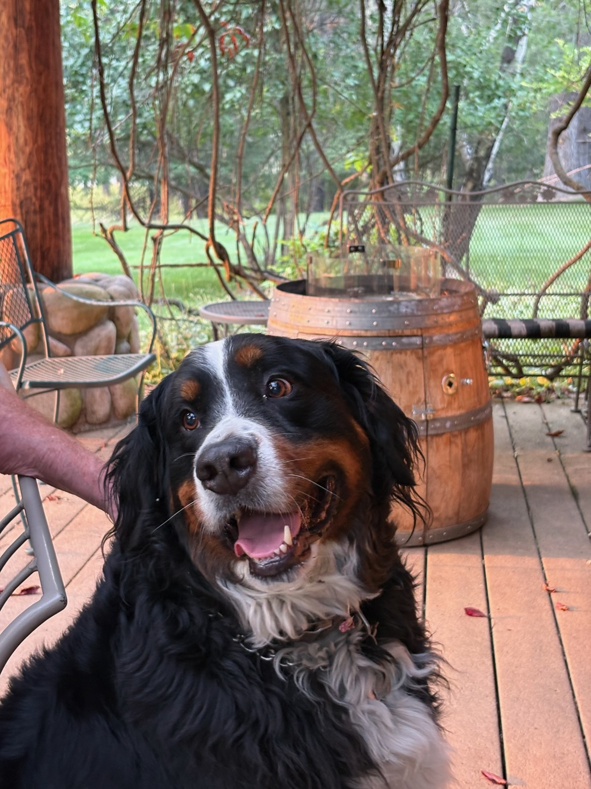 Odin