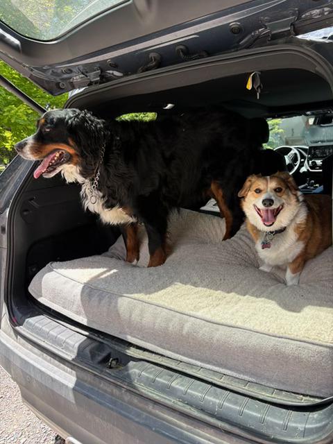 Ceri road trip photo