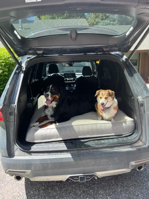 Odin road trip photo