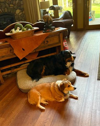 Ceri and Odin