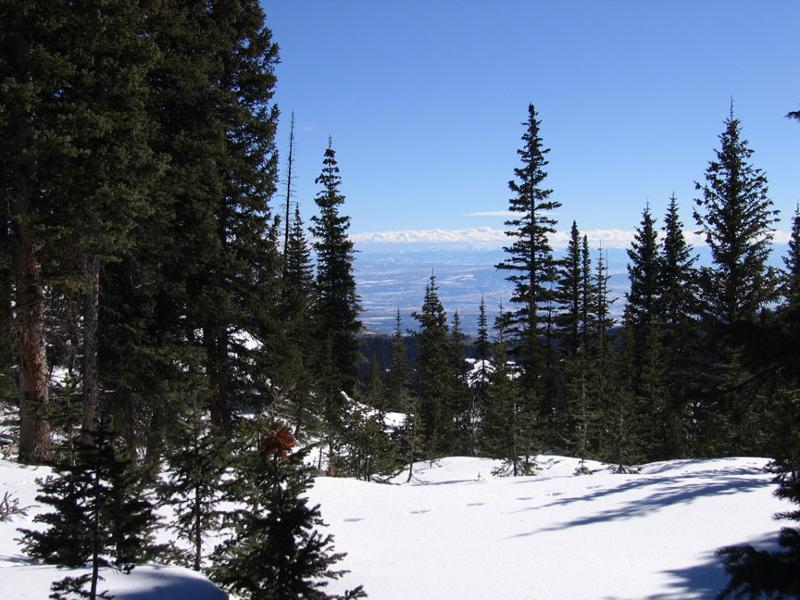 winter stillness