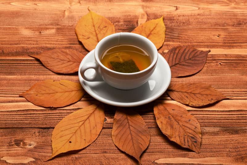 Hot beverage on saucer on wooden background. Cup of green tea with tea bag put on beautiful leaves. Tea cup with dry leaves circle making autumn composition. Autumn warm drink concept.