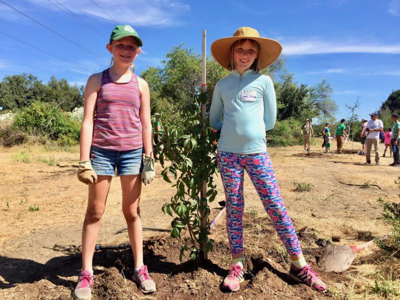 Tree planting duo