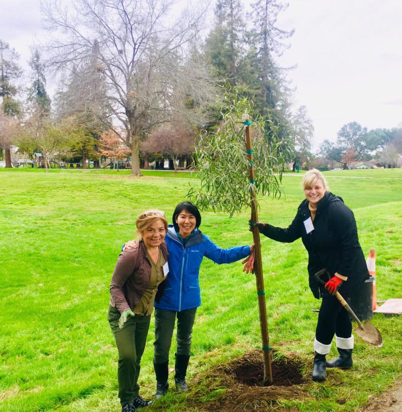 Mountain View Leadership tree planting