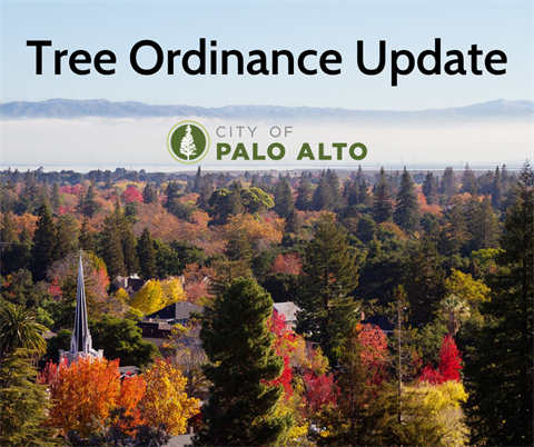 Palo-Alto-tree-ordinance-graphic.png