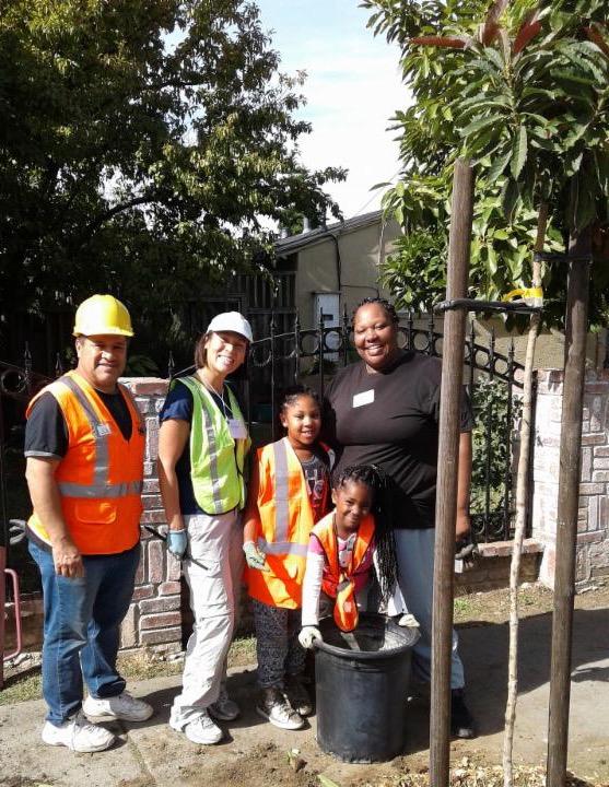 Tree planting team