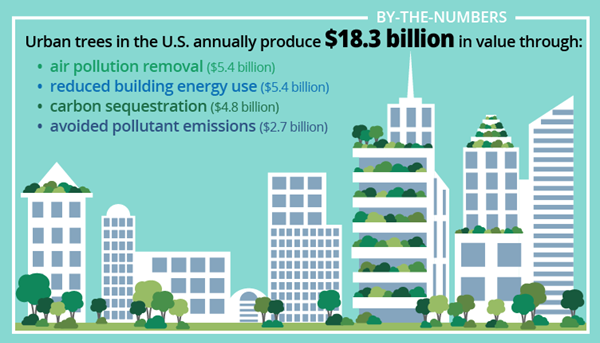 USFS by the numbers