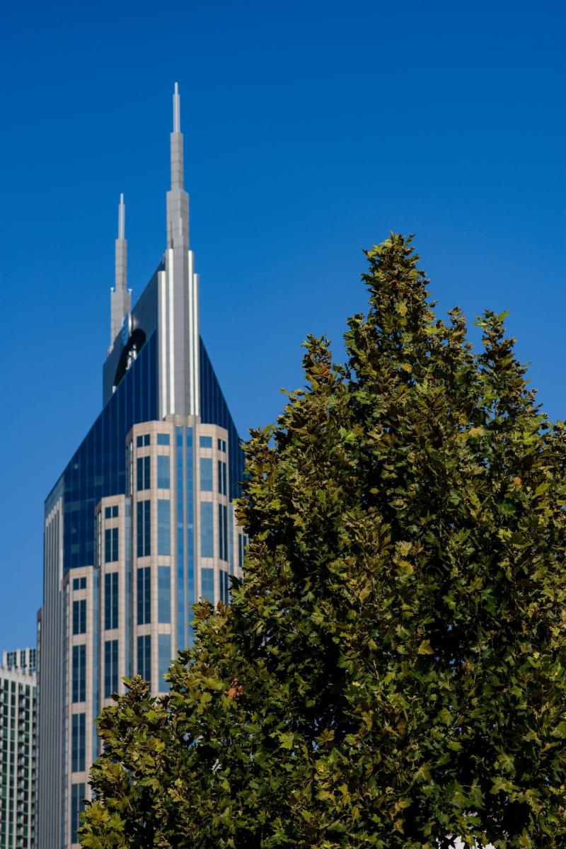 Tree at Nashville's Riverfront Park
