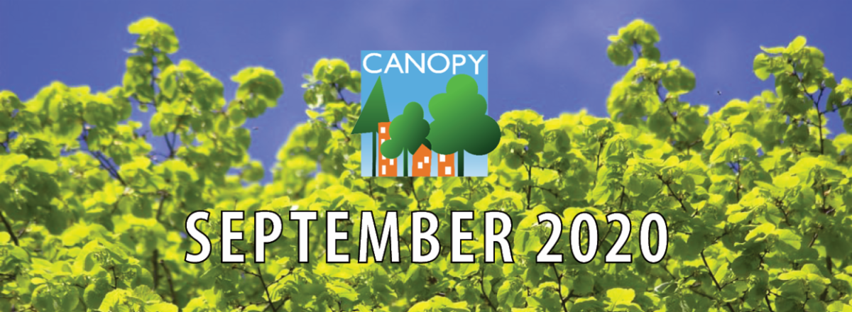Canopy's September 2020 E-news
