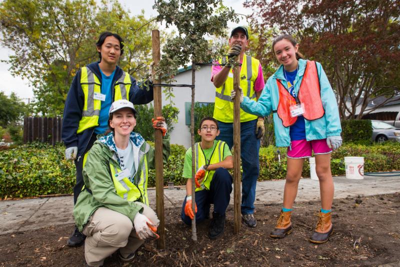 Community Forestry 101