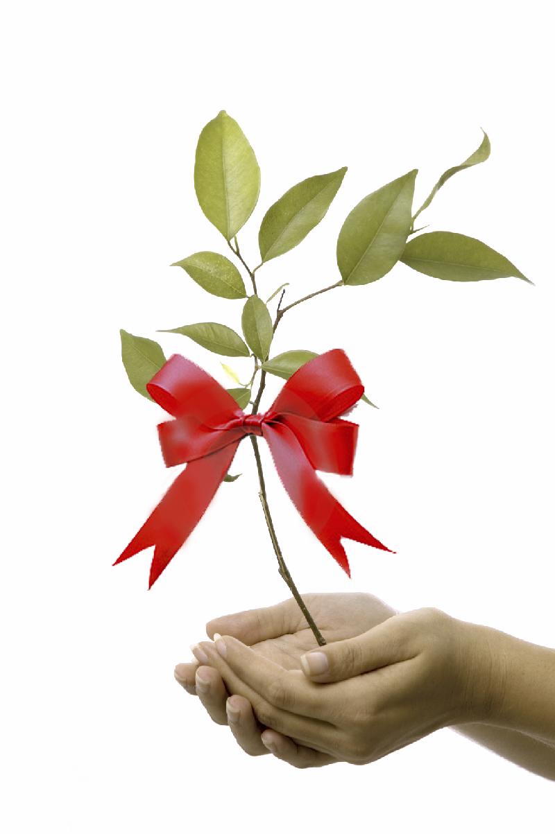 Tree Gifts Hands FINAL