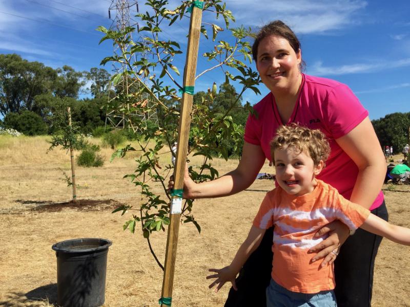 Mother's Day Tree Gift